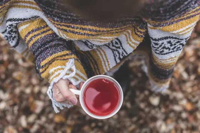 Rooibos Vanilya