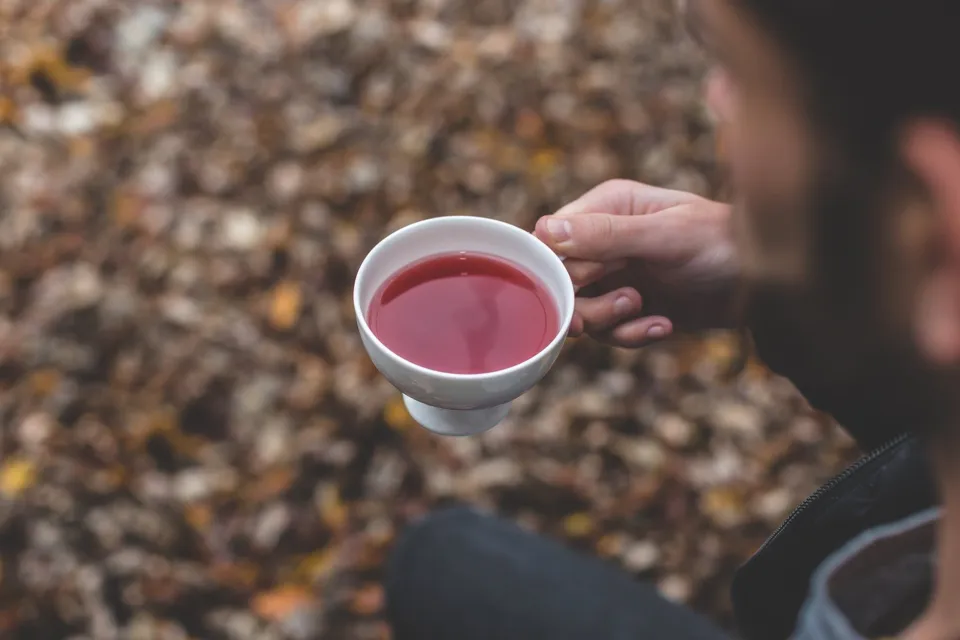Rooibos Vanilya